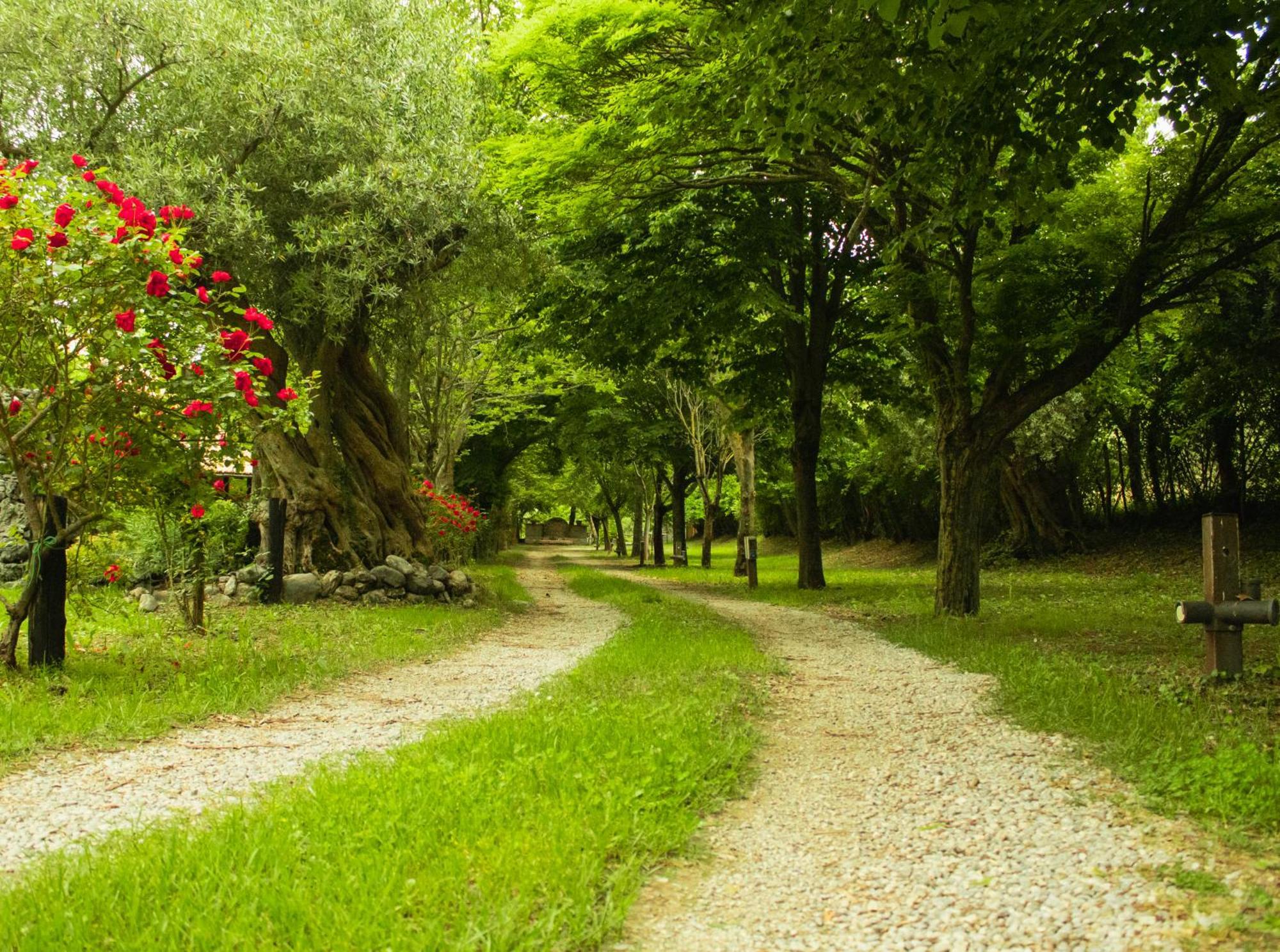 Agriturismo La Locanda Del Parco Morano Calabro Exteriér fotografie