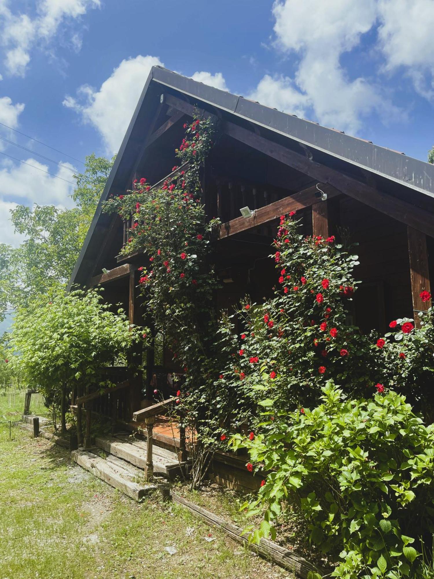 Agriturismo La Locanda Del Parco Morano Calabro Exteriér fotografie