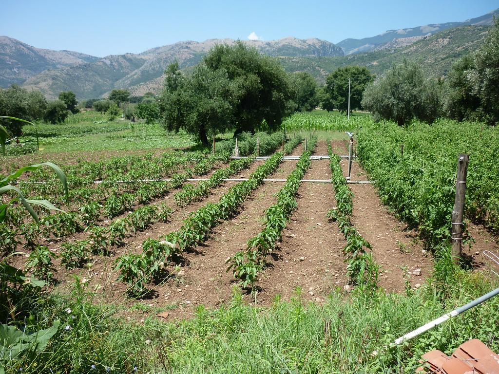 Agriturismo La Locanda Del Parco Morano Calabro Exteriér fotografie